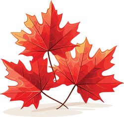red and orange maple leaves clip art