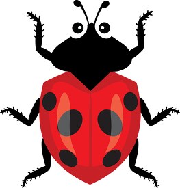 red black Ladybug beetle Clipart