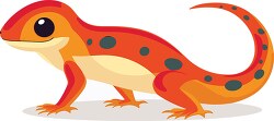 red newt with black spots