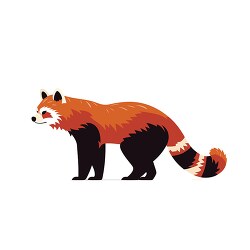 red panda walking shows distinct red bushy tail clip art