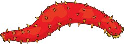 red sea cucumber marine invertebrate clip art