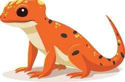 red spotted newt