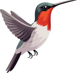 red throated humingbird