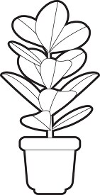 rubber tree house plant printable cutout clip art