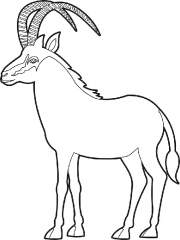 sable antelope black outline clipart