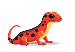 salamander with black spot pattern clip art