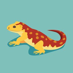 salamander with orange spots