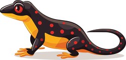 salamander with red spots clip art