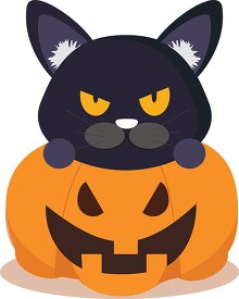 scary halloween cat sitting inside pumpkin clipart