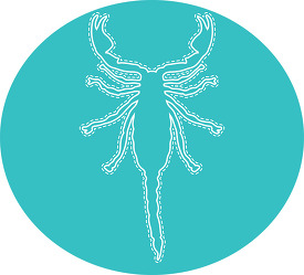 scorpion on blue round icon