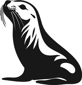 sea lion marine mammal black outline5 clip art