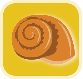 sea shell icon