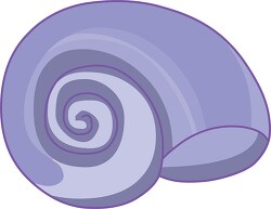 sea shell purple clipart 721