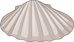 sea shells clipart 03