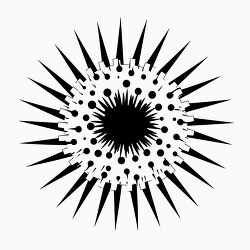 sea urchin black outline clip art