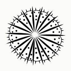 sea urchin black outline printable clip art