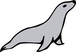 seal animal gray simple design clip art