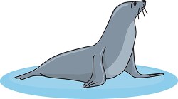 seal animal side view clip art