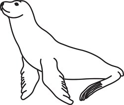 seal black outline clipart 30