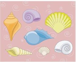 seashells clipart 33