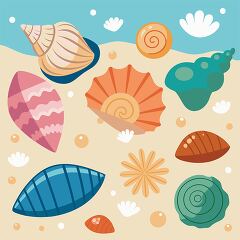 seashells on a sandy beach near the shore.
