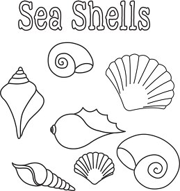 seashells poster black white outline