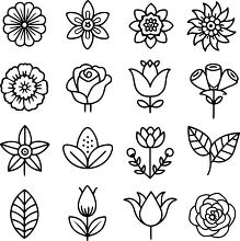 set of floral outline icon showis different flower styles