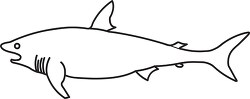 shark black outline clipart 22
