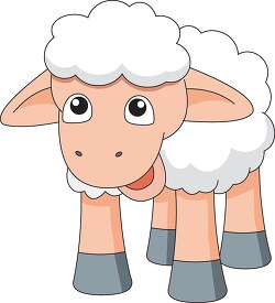 shy looking sheep with white wool clipart