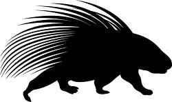 silhouette of walking porcupine long spines on the back