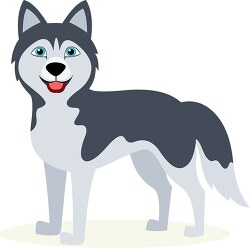 similing siberian husky dog multicolor coat clipart