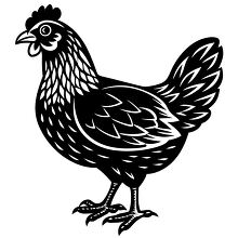 Simple chicken clipart with detailed feathers