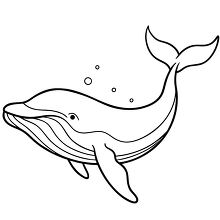 simple line drawing of a whale swimming with bubbles around it