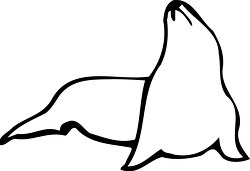 simple outline with white fill of a seal