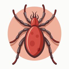 simple tick illustration emphasizing its rounded body