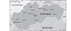 Slovakia country map gray color 2