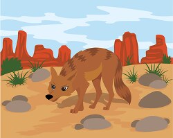 sly Coyote looking for food in the desert clipart