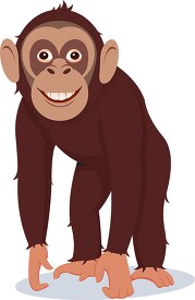 smiling chimpanzee standing on all fours clip art