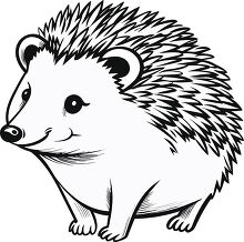 smiling hedgehog black outline clip art