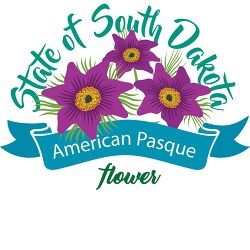 south dakota state flower the american pasque clipart image