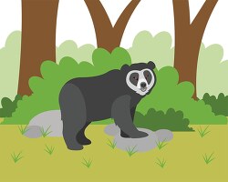 Spectacled Bear tanding in the woods with trees and grass clip a