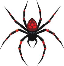 spider featuring bright red accents on its legs