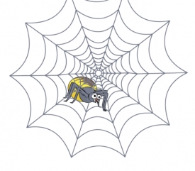 Spider Web Animation
