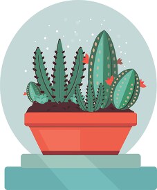 spiny succulent cactus in low pot with blue background