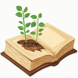sprouting plant growing from the pages of an open book symbolizi
