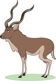 standing african lesser kudu with horns clip art