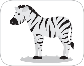 standing gray zebra with black strips pink ears gray color clipa