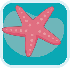 starfish icon