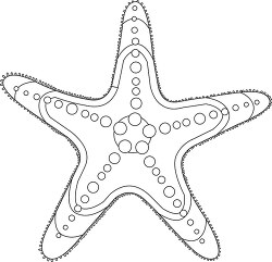 starfish marine animal black white outline clipart 2818
