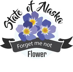 state flower of alaska forget me not clipart
